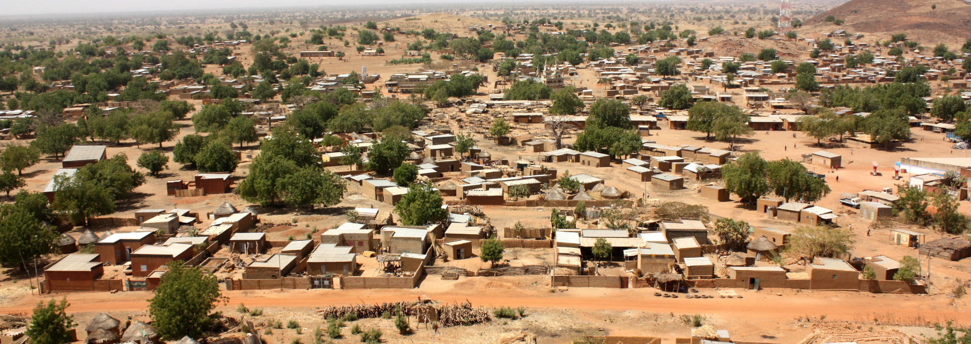 Niger banner